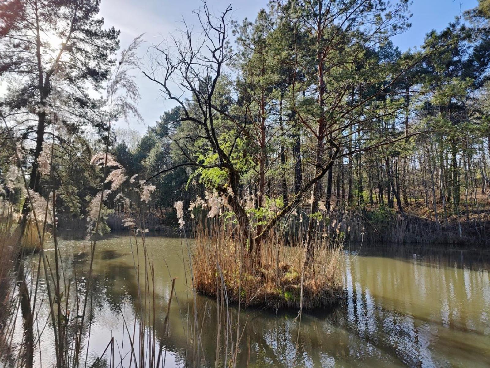 Les Chambres De Charnay - Calme Charme Et Confort A 5 Mn Du Peage Vierzon Esterno foto
