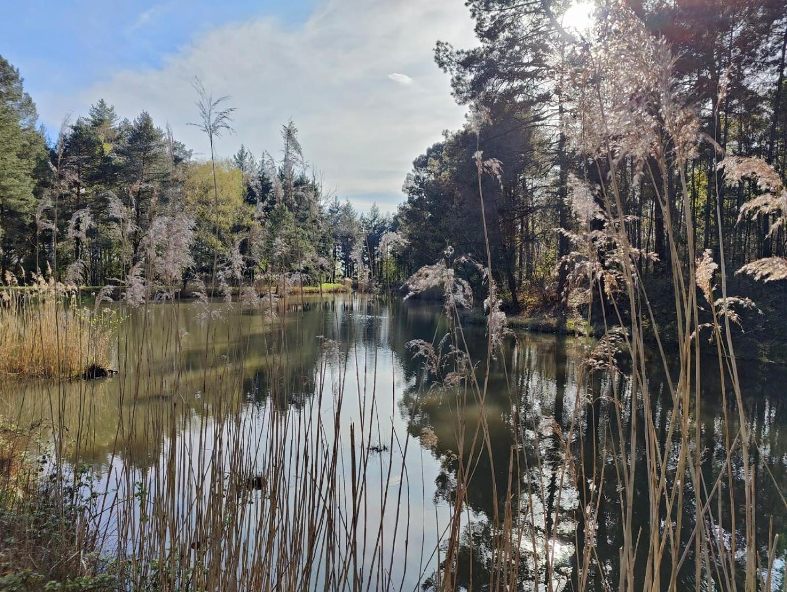 Les Chambres De Charnay - Calme Charme Et Confort A 5 Mn Du Peage Vierzon Esterno foto